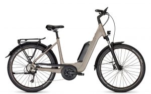 Kalkhoff Entice 1.B Move E-Bike Grau Modell 2023
