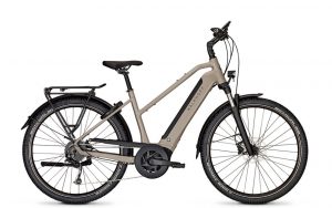 Kalkhoff Entice 3.B Move E-Bike Grau Modell 2023