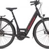 Diamant Beryll Esprit+ E-Bike Schwarz Modell 2021