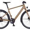 Rabeneick TX-E E-Bike Bronze Modell 2019