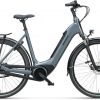 Batavus Altura E-go Power Plus E-Bike Grau Modell 2023