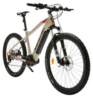 WAYSCRAL Anyway E450 E-Bike Grau Modell 2022