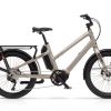 Benno Boost 10D Grau Modell 2022