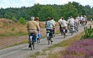 Wie du eine Radtour in großer Gruppe optimal planst