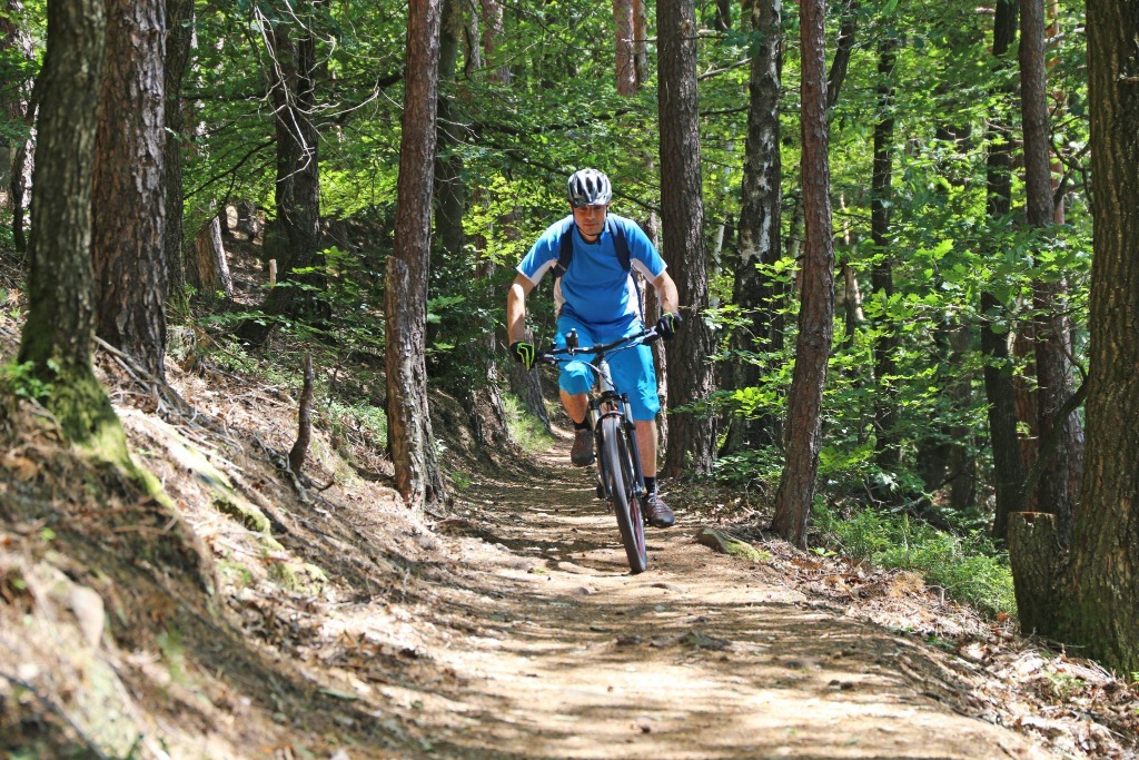Mountainbikeurlaub in Sölden: Was ein wirklich fahrradfreundliches Hotel ausmacht
