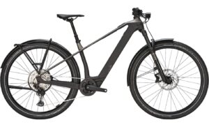 BULLS SONIC SX DAKAR - 29 Zoll 400Wh 12K Diamant - monza grey / UD carbon