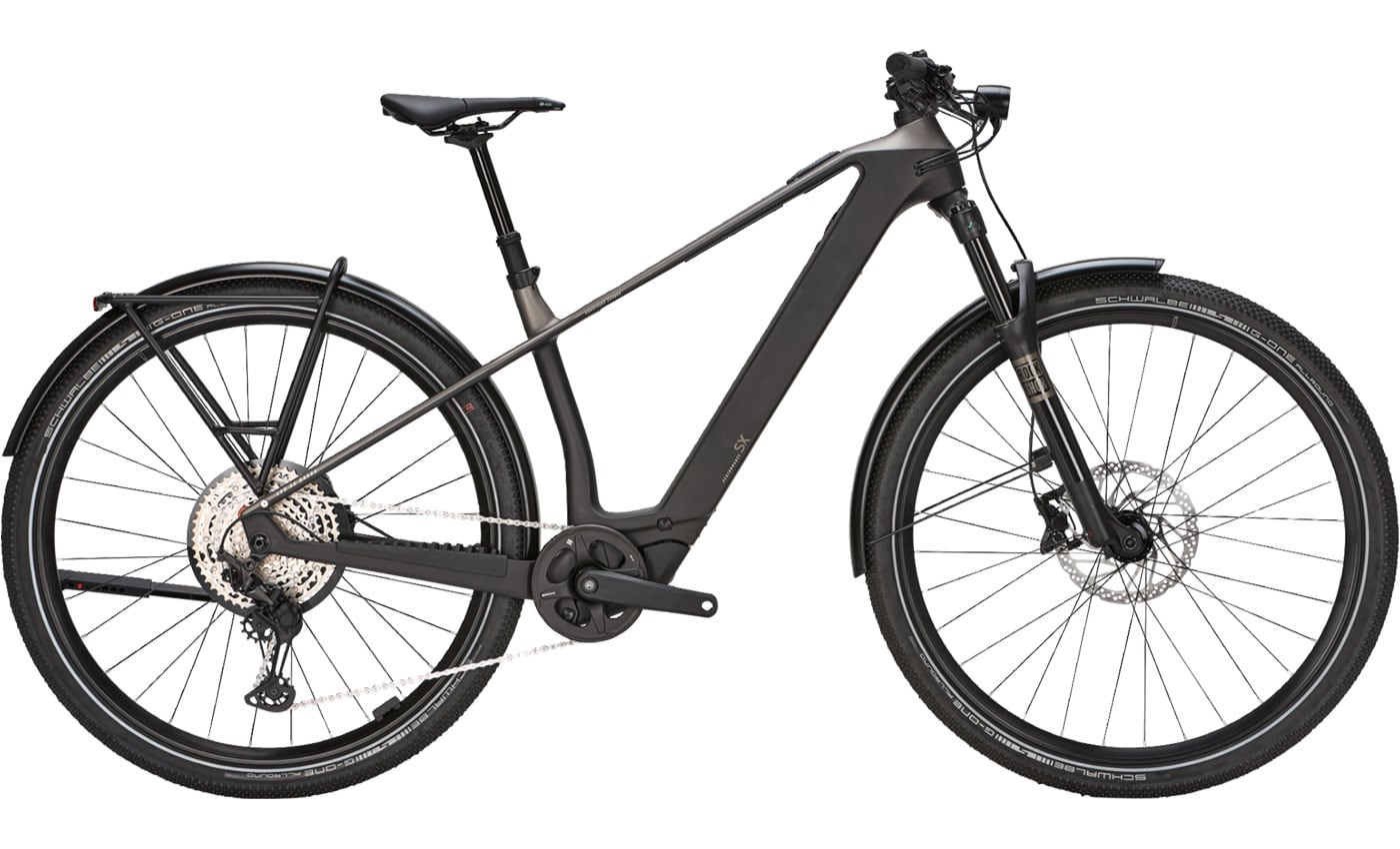 BULLS SONIC SX DAKAR - 29 Zoll 400Wh 12K Diamant - monza grey / UD carbon